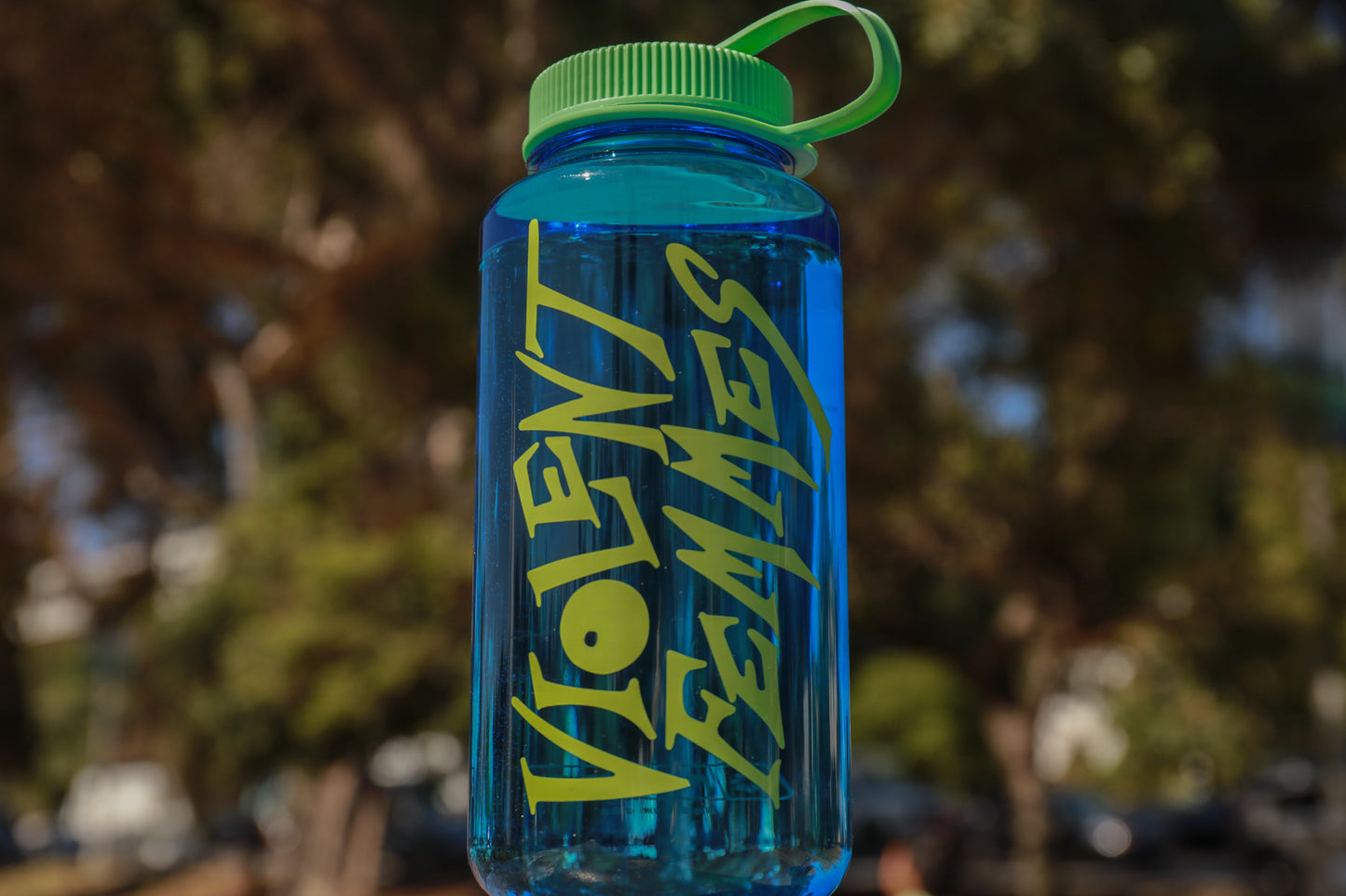 Logo Nalgene Water Bottle (Blue/Green)