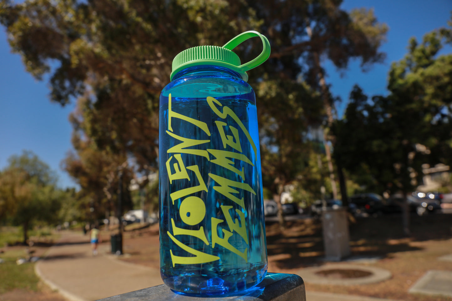 Logo Nalgene Water Bottle (Blue/Green)